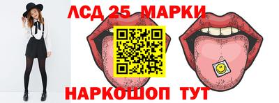 гидропоника Будённовск