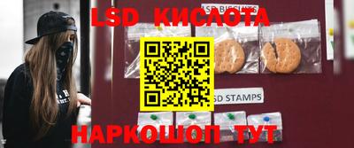 гидропоника Будённовск
