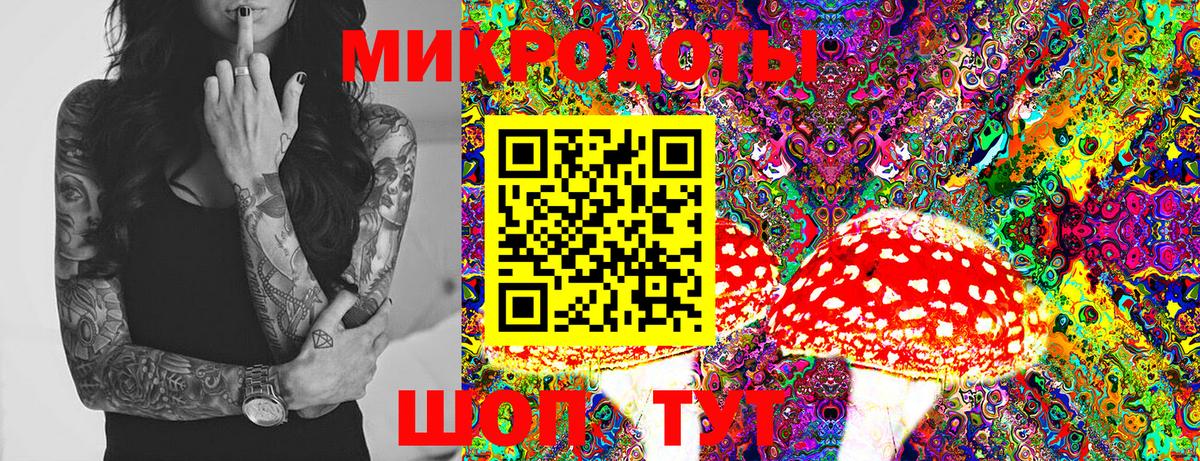 Псилоцибиновые грибы Cubensis  Галлюциногенные грибы прущие грибы  Вход с VPN  Тольятти 